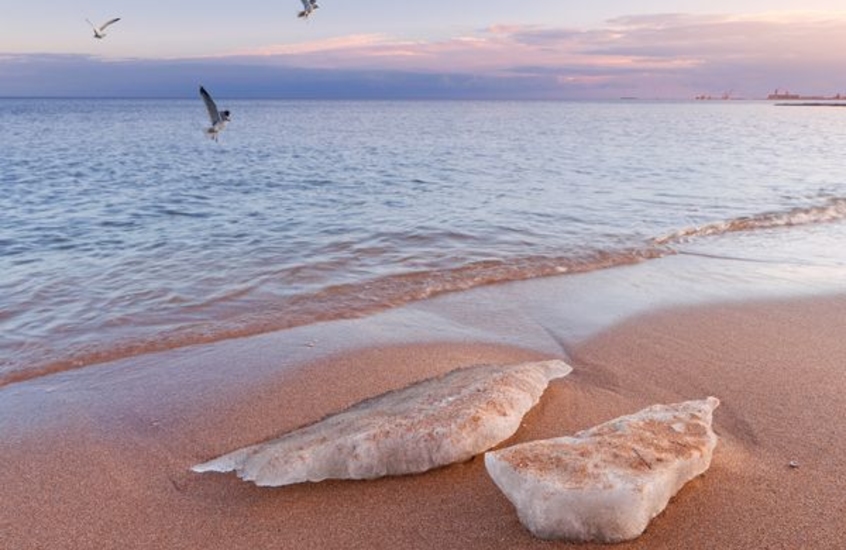 Фотообои Птички над водой