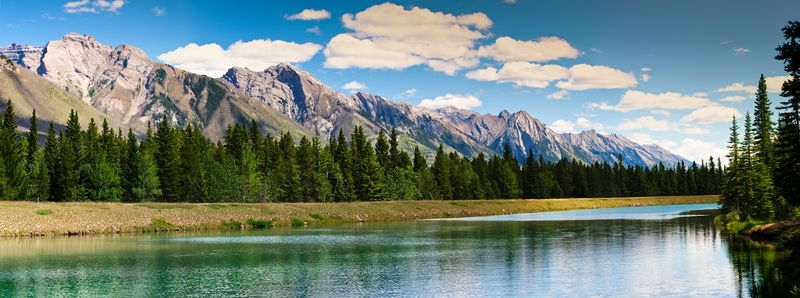 Фотообои Широкая река вдоль леса
