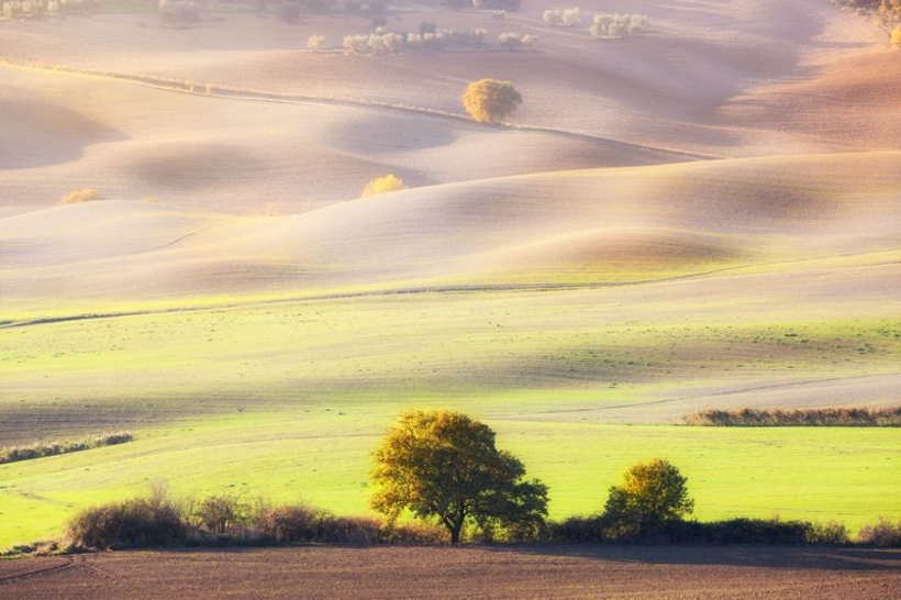Фотообои Солнечные луга