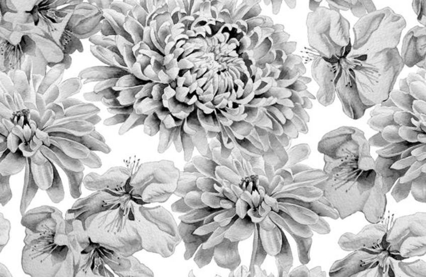 Фотообои 3D пионы в сером цвете