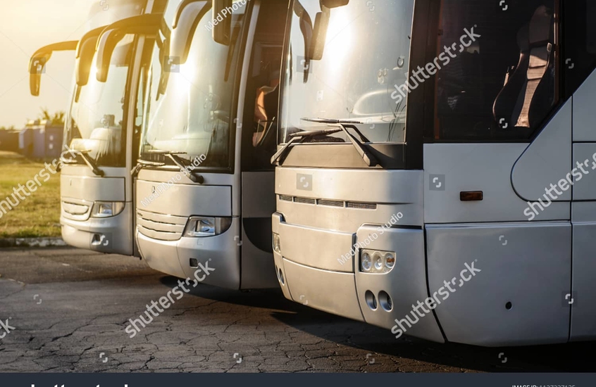 Фотообои Автобусы на парковке