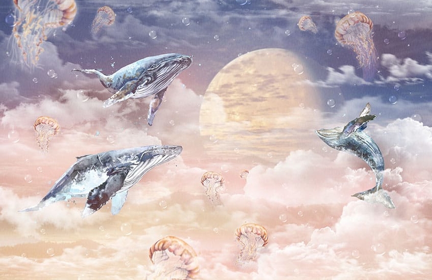 Фотообои 01-071 Moon Whales