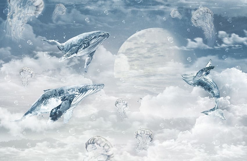 Фотообои 01-073 Moon Whales