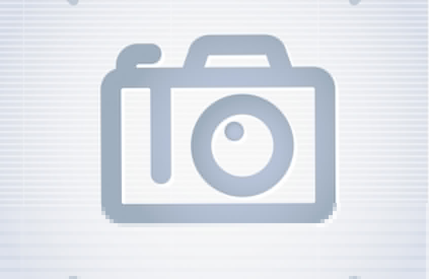 Фотообои Красивые оранжевые ветки