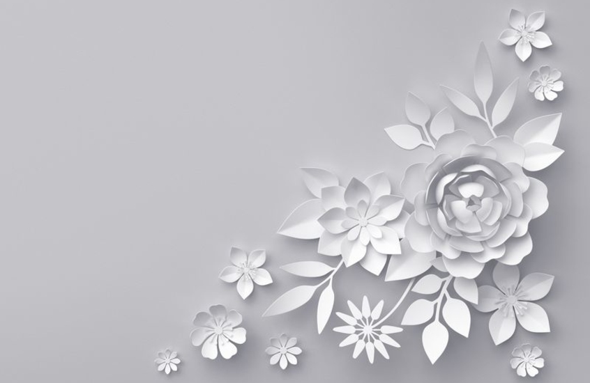 Фотообои 3D цветы на белом фоне