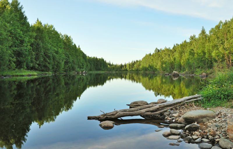Фотообои Зеленые берега реки