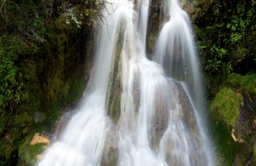 Фотообои Водопад в лесу