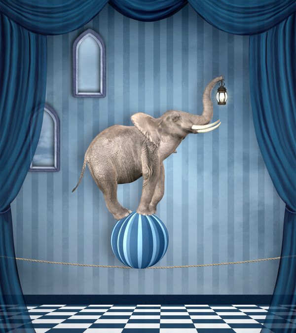 Цирковой слон