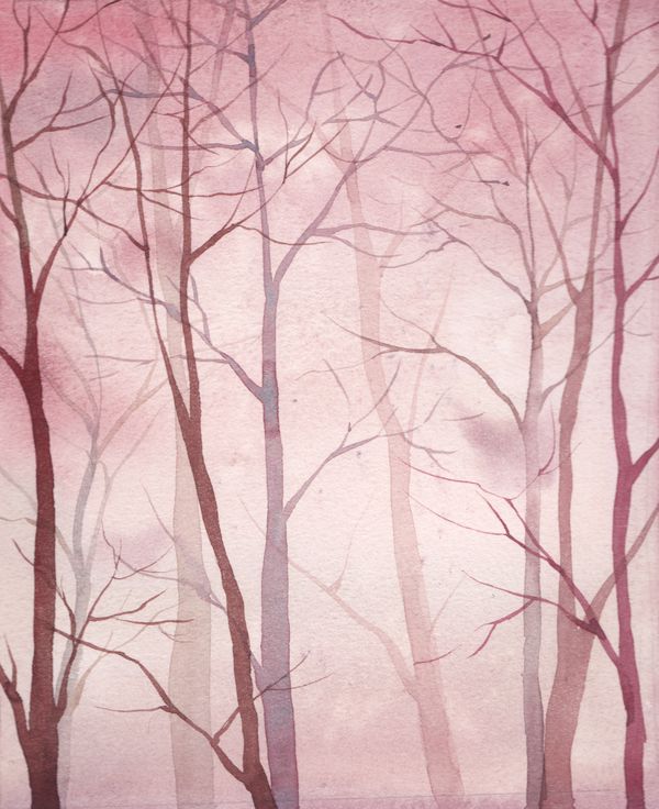 Деревья в розовом тумане