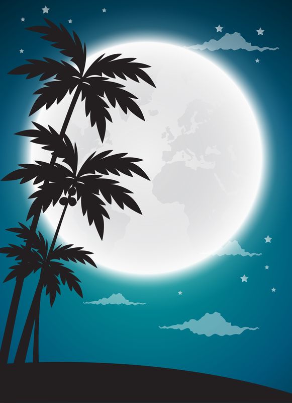 Пальмы на фоне луны