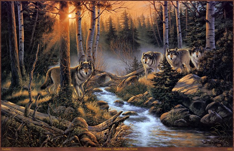 Волки у ручья