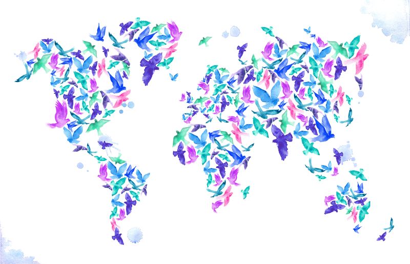 Карта мира с птицами