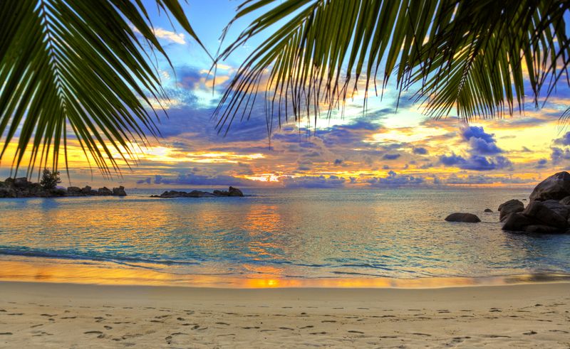 Закат на пляже сквозь пальмы
