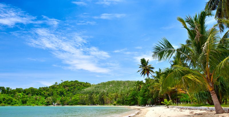 Длинный пляж с пальмами