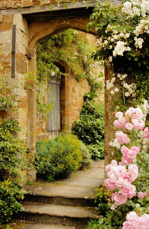 Маленький дворик с розами