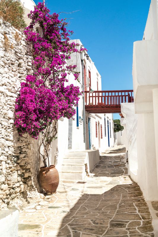 Улочка в Греции с цветами