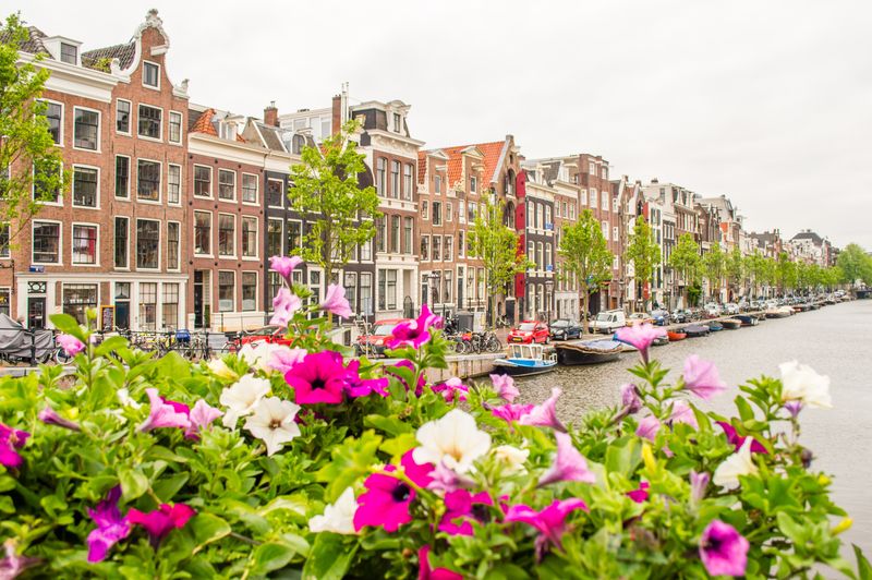 Каналы Амстердама и цветы