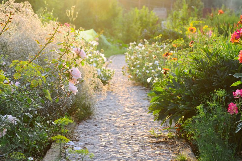 Дорожка в саду между цветов летним днем