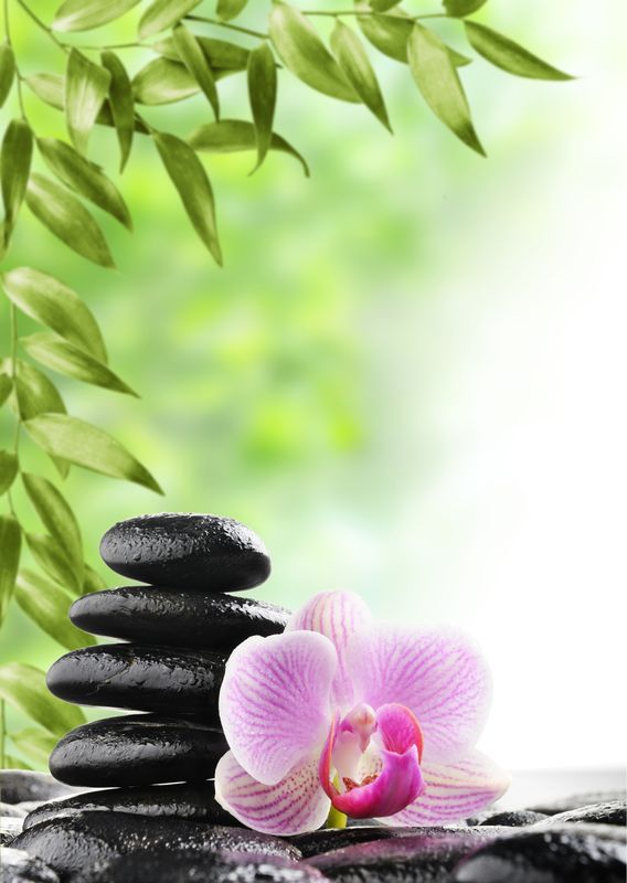 Розовая орхидея с черными камнями и зелеными листьями