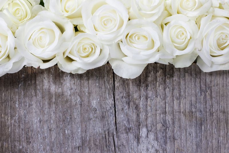 Белые розы на деревянной стене