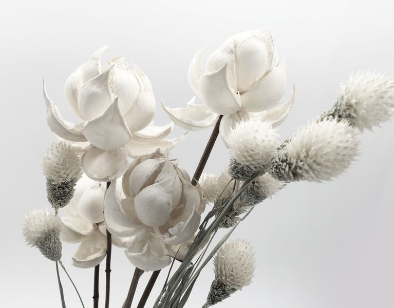 3Д белые цветы на светлом фоне
