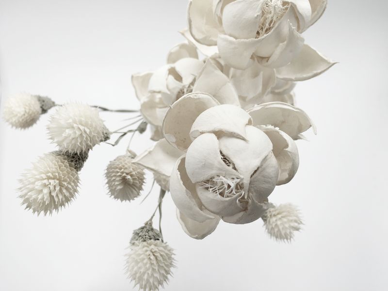 3Д белые пушистые цветы на сером фоне