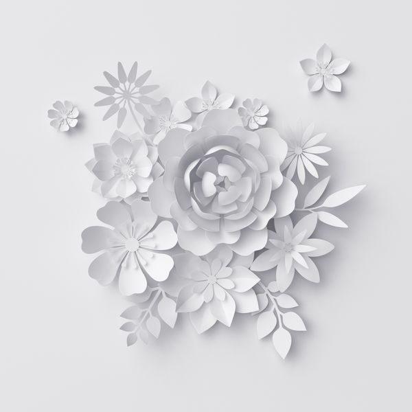 3Д цветы на белом фоне