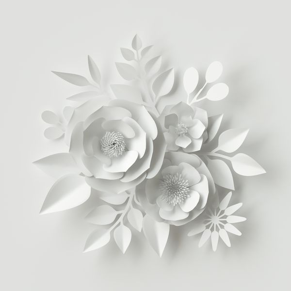 3Д белые цветы с тенью