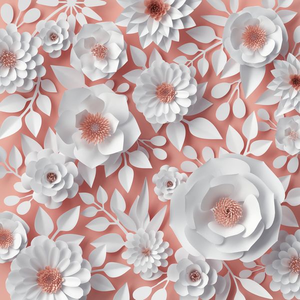 3Д белые цветы на персиковом фоне