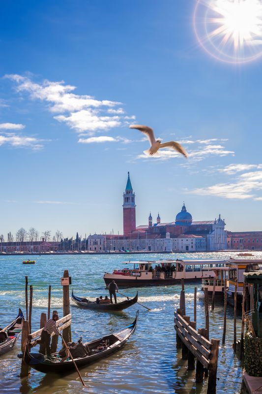 Чайка над каналом в Венеции