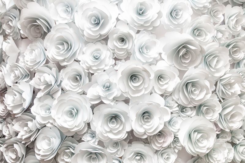 3Д белые розы