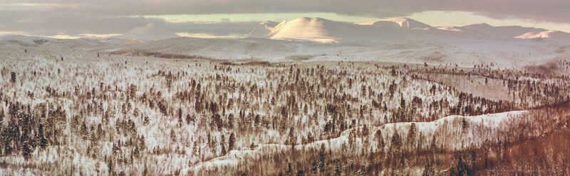 Панорама гор и полей зимой