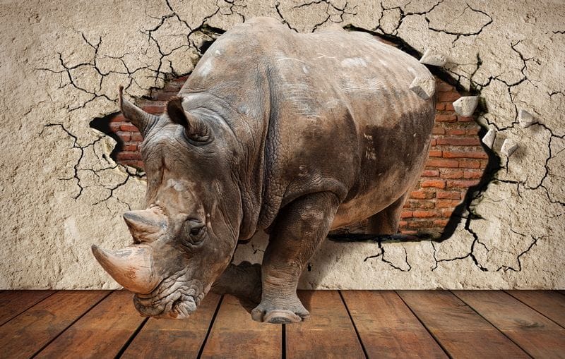 3Д носорог проламывает стену