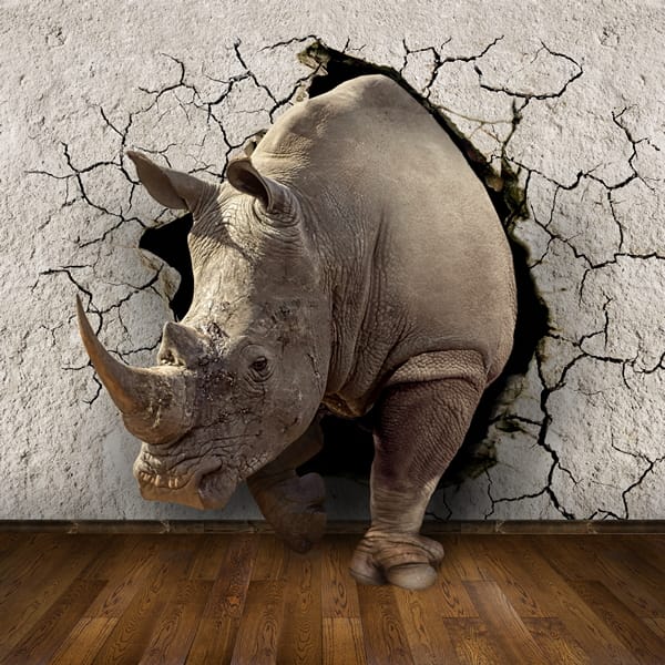 3Д огромный носорог разбивает стену