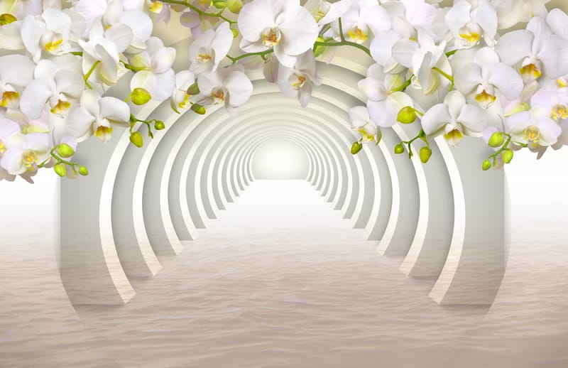 3Д белые орхидеи в туннеле