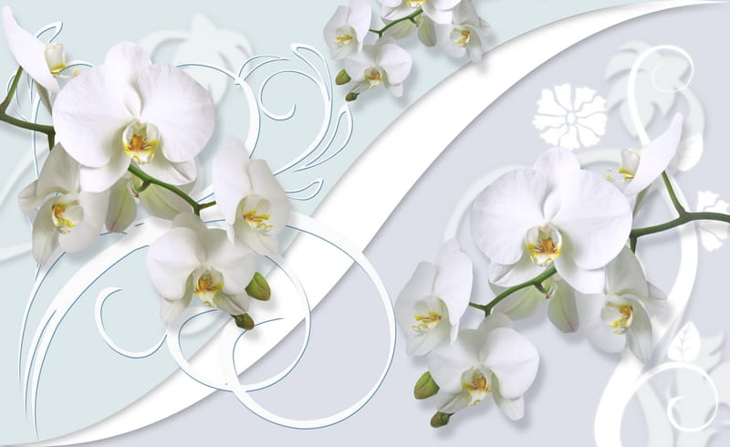 3Д орхидеи на сером и бирюзовом фоне