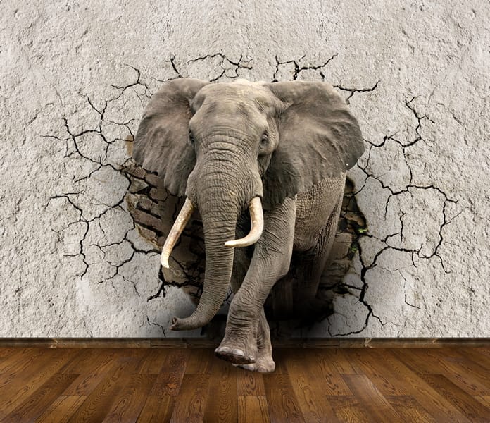 3Д слон из стены