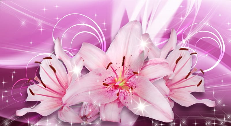 3Д лилии на розовом фоне с кристаллами