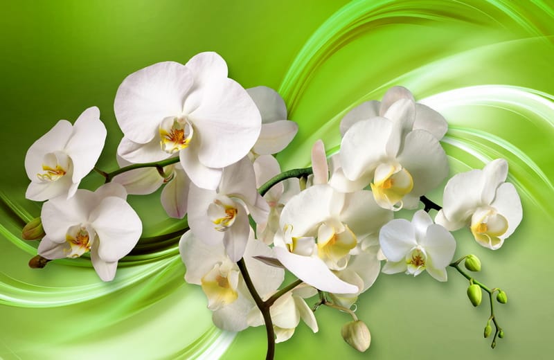 3Д белые орхидеи на зеленом фоне