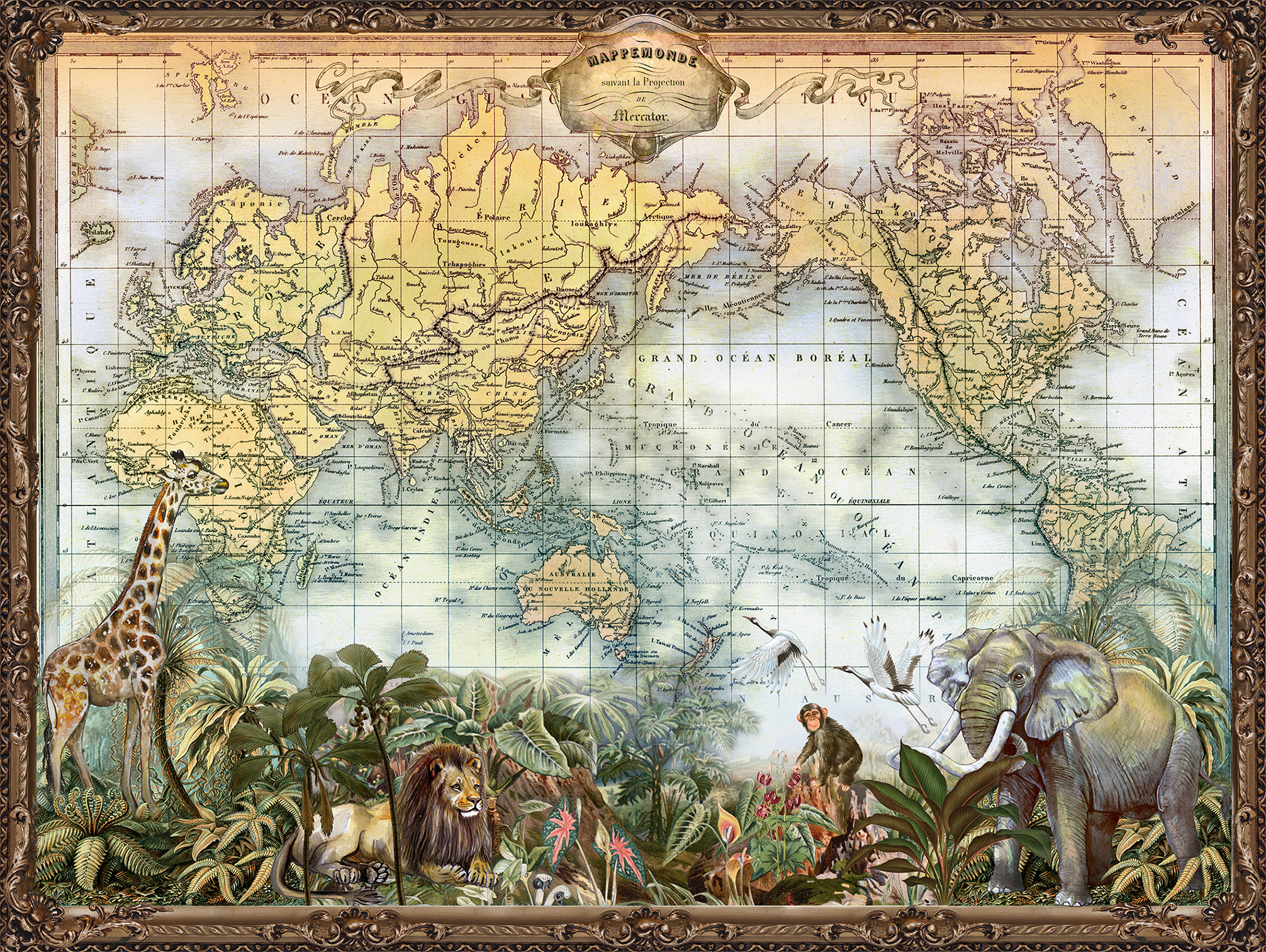 Тропическая карте мира