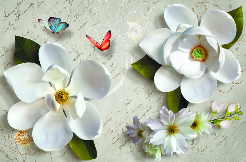 3Д белые цветы и бабочки на фоне текста