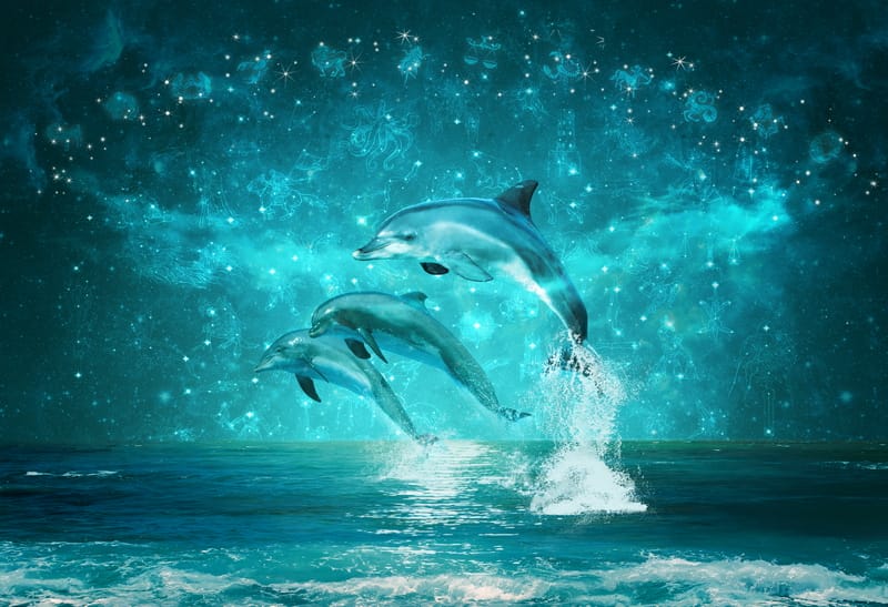3Д дельфины на фоне ночного неба