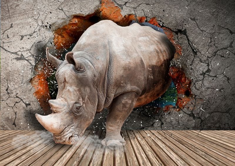 3Д носорог пробивает бетонную стену