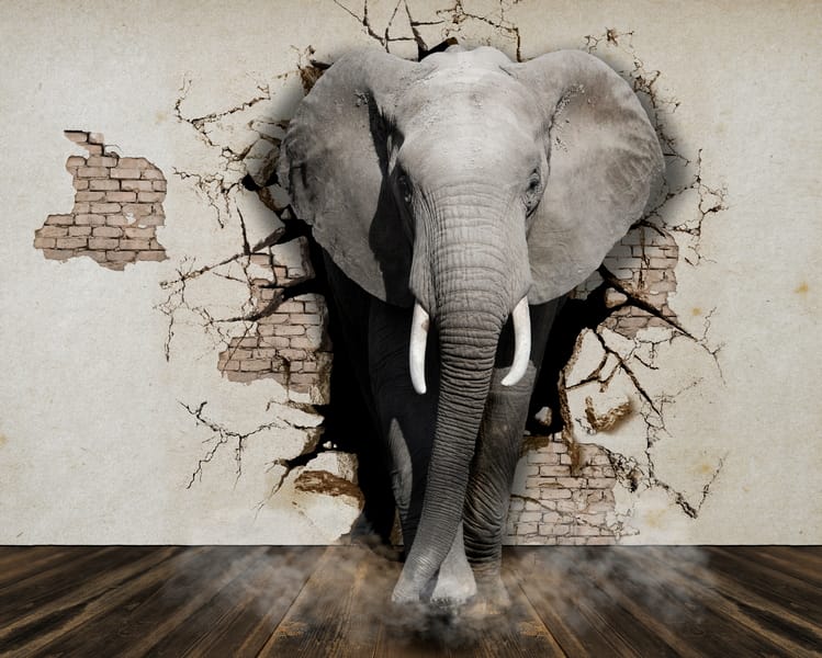 3Д слон из стены
