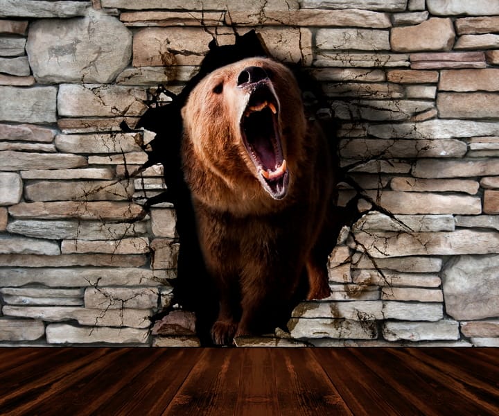 3Д медведь рычит из стены