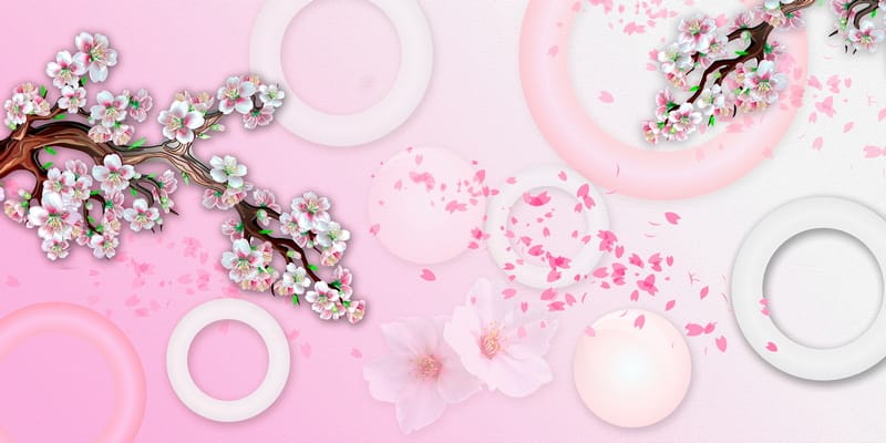Ветки сакуры и круги с розовым фоном