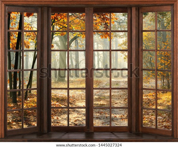 Окно в старинном стиле и осенний лес