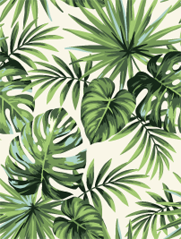 Зеленые пальмовые листья на бежевом фоне