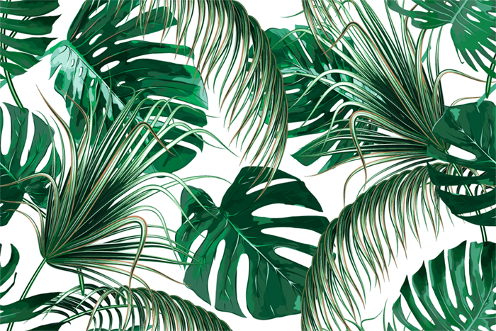 Зеленые тропические листья на белом фоне
