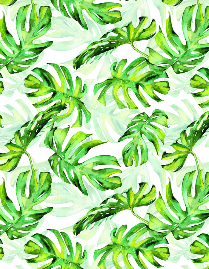 Много зеленых пальмовых листьев